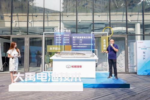 永不起火不爆炸 能扛住1037 長城汽車揭秘大禹電池技術